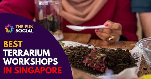 Best Terrarium Workshop Singapore